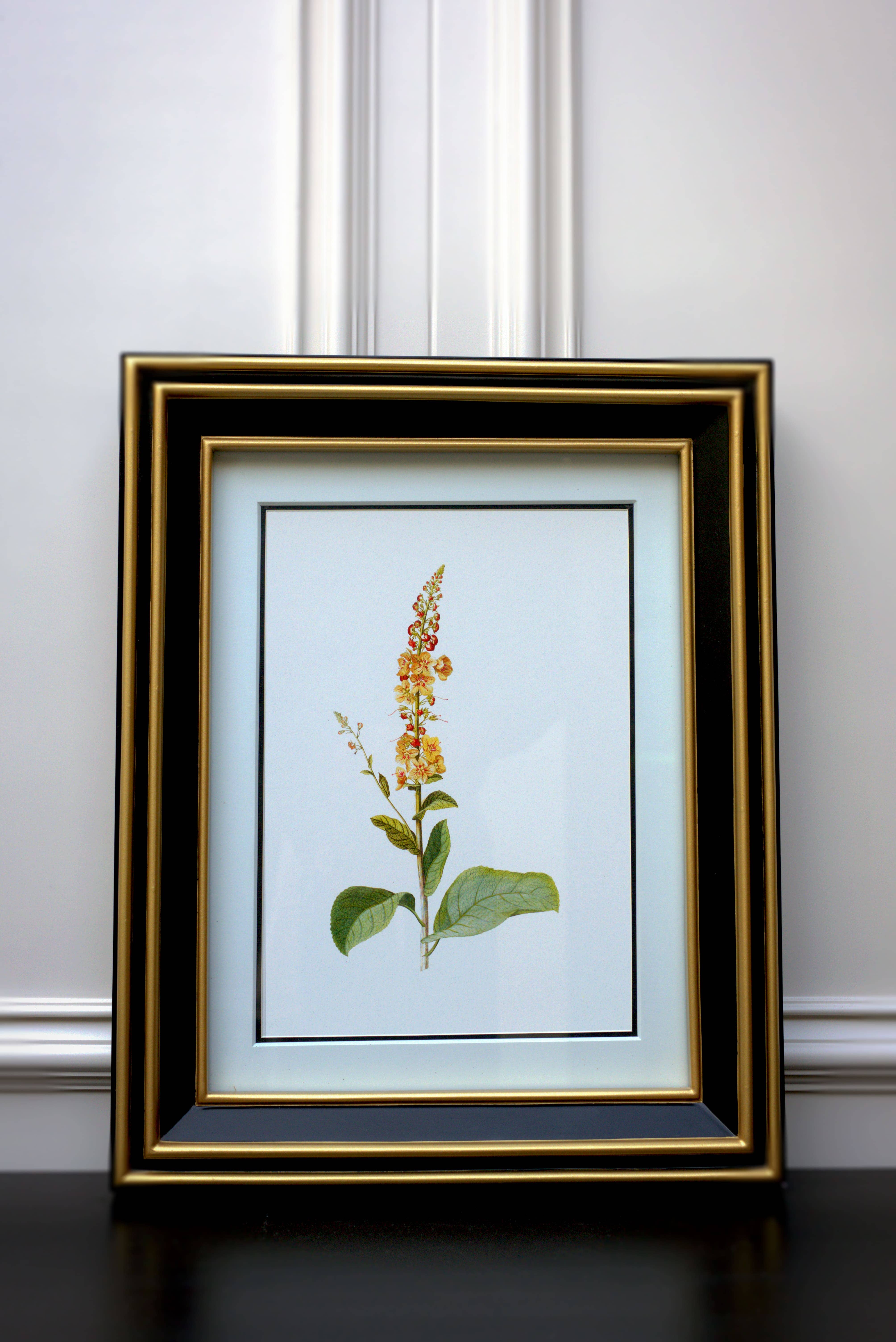 BOTANICAL REVERIE (II)